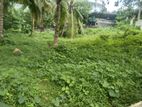 (SDS-131) Valuable Residential Land Sale in Bandaragama