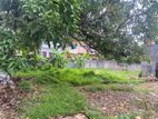 ( SDS-292) Valuable Residential Bare Land Sale in Nugegoda