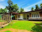(SDS-326)Valuable Bare Land with Single Storey House Sale in Maharagama