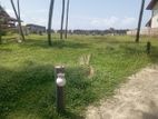 Sea Side Land For Sale Dungalpitiya Negombo Gampaha