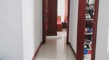 Sea View Apartment for Rent Wellawatte
