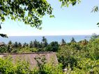 Sea view elevated land for sale in Dickwella area -Code add 838
