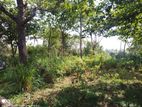 Sea View Land For Sale Hiriketiya