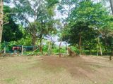 Sea View Land for Sale Hiriketiya