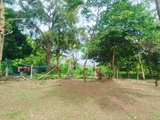 Sea View Land for Sale Hiriketiya