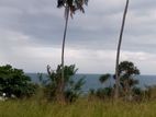 Sea View Land for Sale in Nilwella with A Local House