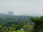 Sea View Land for Sale Weligama .