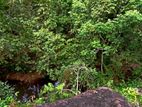 Land for Sale Galle