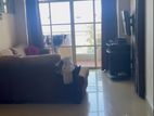 Seagull Court - Furnished Apartment for Sale A50881