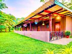 Seasonal Room for Short Term Rent in Anuradhapura