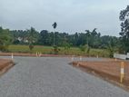 Secure Your Future with Land in Homagama