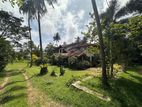 SEEDUWA : 560 PERCHES VALUABLE LAND WITH HOUSES FOR SALE