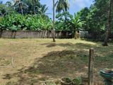 Seeduwa Bare Land Plots