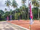 Seeduwa City Land for Sale