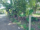 Seeduwa Land close to Rail station for sale. 500m Colombo road