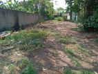 Seeduwa Land close to Rail station for sale. 500m Colombo road