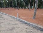 Seeduwa Land for Sale