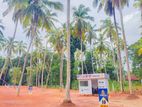 Seeduwa land for sale