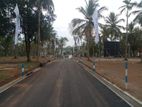 Seeduwa Land For Sale