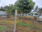 Seeduwa suhada Mawatha 20 Perches Bare Land Available For Sale