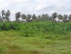 Seeduwa Village Land Plots Close to Katunayake Main Road for Sale