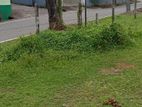 Seelarathana Road Horana Land for Sale