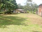 Seelarathana Road Land for Sale Horana