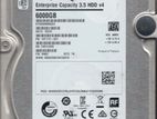 Segate Enterprise 6TB HDD 3.5"