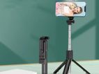 Selfie Stick