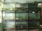 Fish Tank Sets