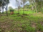 Land for Sale in Demodara