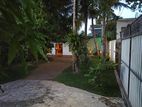Guest House for sale-Mirissa
