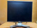 Dell 19.5" inch Monitor