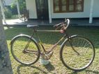 Lumala Bicycle