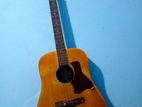Semi Accoustic Guitar