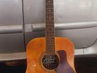 Semi Acoustic Guitar