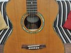 Semi Acoustic Guitar