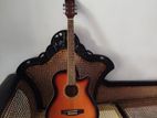Semi Acoustic Guitar
