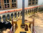 Semi Acoustic Guitar
