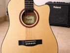 Semi Acoustic Guitar