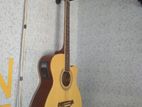 Semi Acoustic Guitar