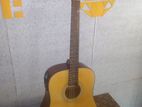 Semi Acoustic Guitar