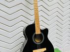 Semi Acoustic Guitar