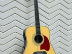 Semi Acoustic Guitar