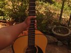 Semi Acoustic Guitar