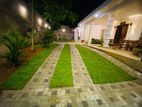 Semi Furnished Single Story House for Rent Pannipitiya