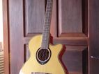 Semiacoustic Guitar