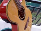 Semiacoustic Guitar