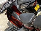 Senaro 100 2003