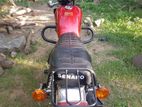 Senaro GN 125 2024
